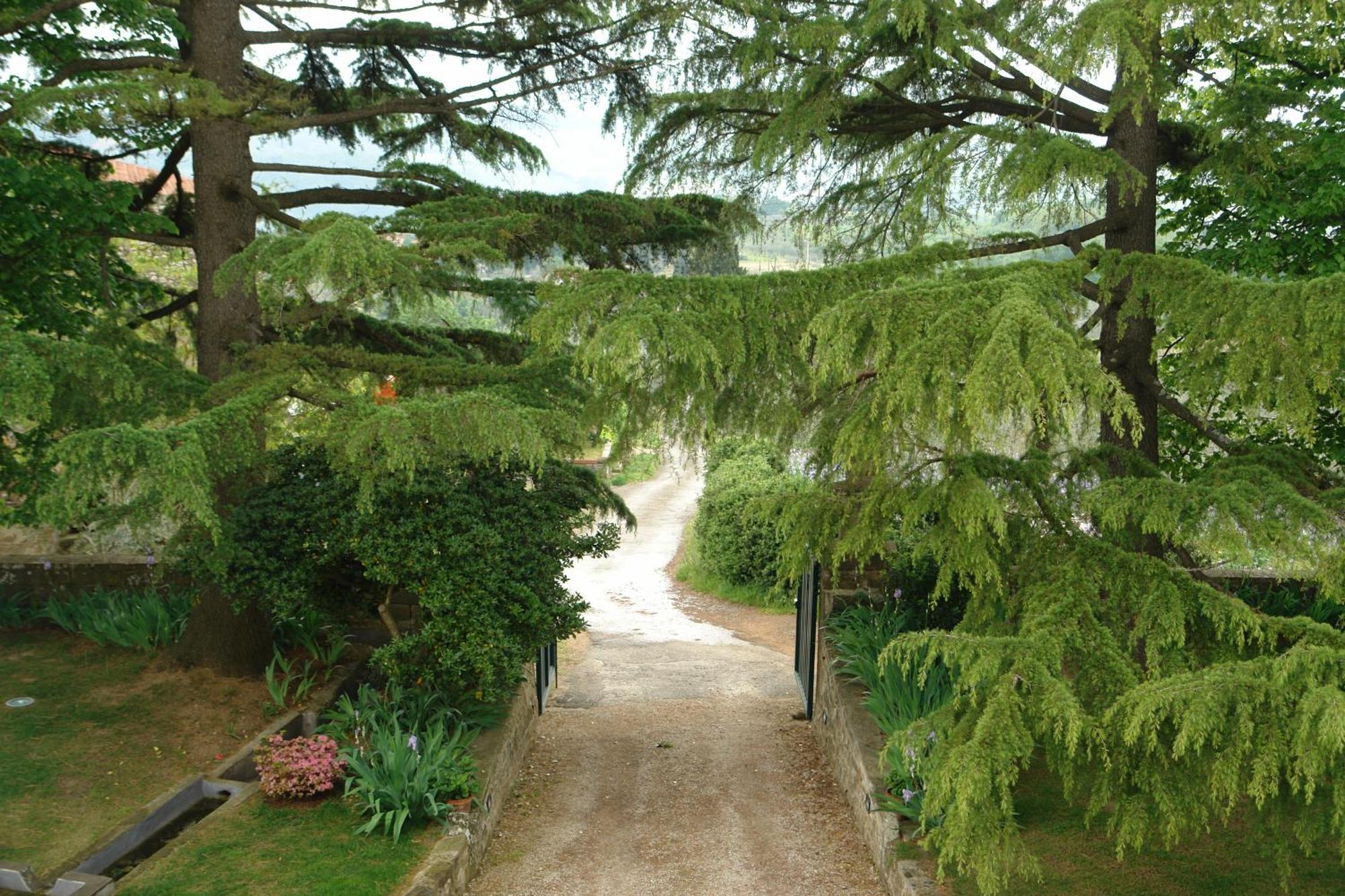 Relais Villa Belpoggio - Residenza D'Epoca Loro Ciuffenna Habitación foto